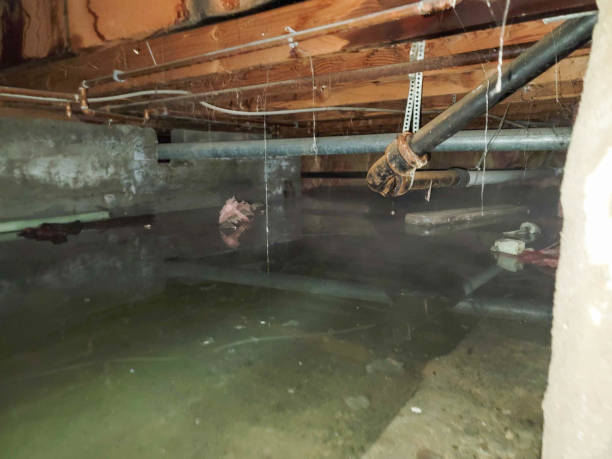 24/7 water damage repair in Pleasant Grove, OH