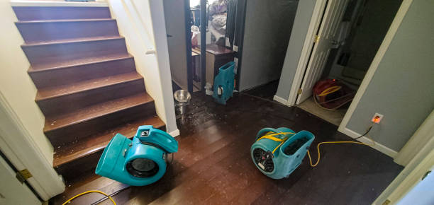 Trusted Pleasant Grove, OH Water damage restoration Experts