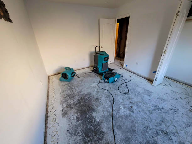 Best 24-hour water damage restoration  in Pleasant Grove, OH