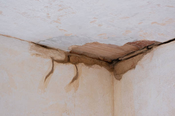 Best Water damage contractors near me  in Pleasant Grove, OH