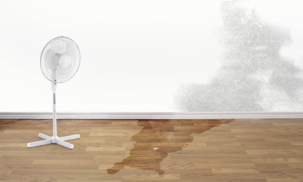 Reliable Pleasant Grove, OH Water damage restoration Solutions