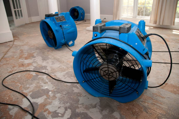 Best Ceiling water damage repair  in Pleasant Grove, OH