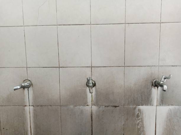 Best Professional water damage repair  in Pleasant Grove, OH