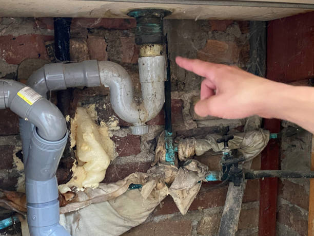 Best Water damage restoration near me  in Pleasant Grove, OH