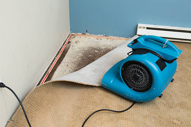 Best Water damage restoration experts  in Pleasant Grove, OH